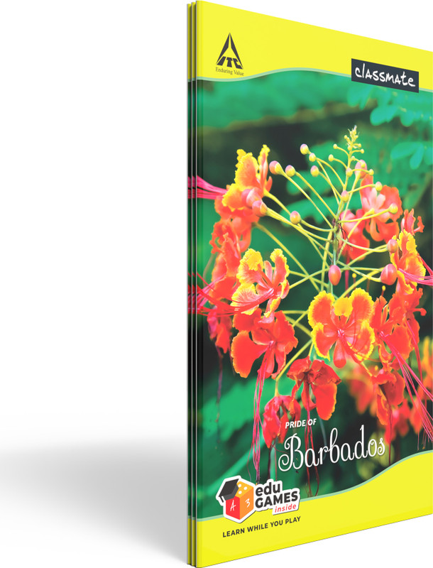 Classmate Longbook Unruled 160 Pages – Multicolor 6-Pack